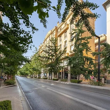 Con Vistas En Gran Via De Luxury גרנדה